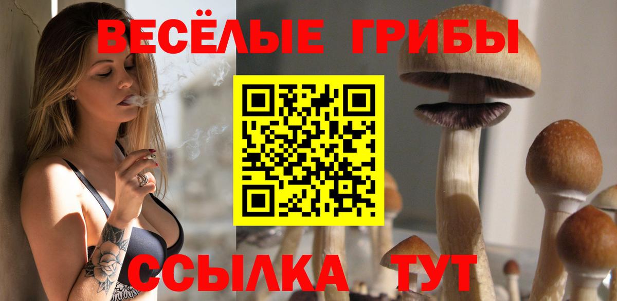Псилоцибиновые грибы MAGIC MUSHROOMS  Вход с VPN  Озёры 